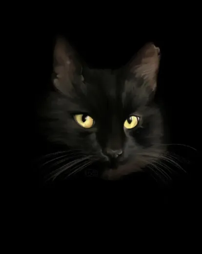 Bird, a digital painting of a black cat with golden eyes