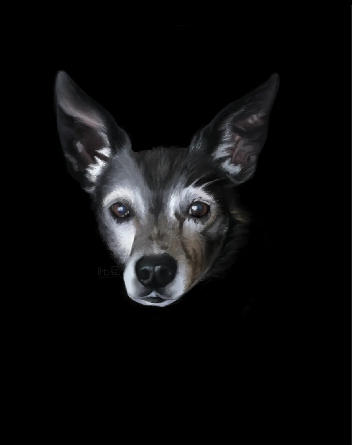 Lucy, a painted portrait of a silver-muzzled dog with tall ears, emerging from a dark background