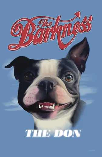 The Don, a portrait of a black and white Boston Terrier